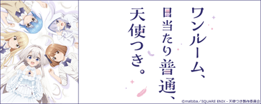 ワンルーム、日当たり普通、天使つき。