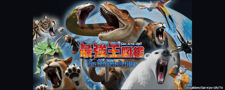 最強王図鑑