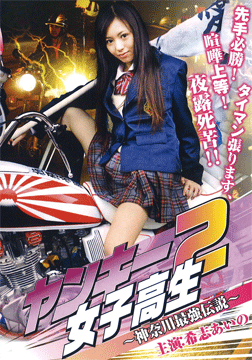 ヤンキー女子高生2 ～神奈川最強伝説～