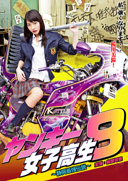 ヤンキー女子高生8 ～静岡最強伝説～