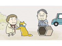 18年4月の追加動画 動画見るならhappy 動画