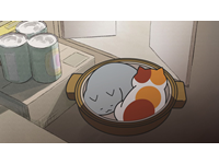 18年4月の追加動画 動画見るならhappy 動画