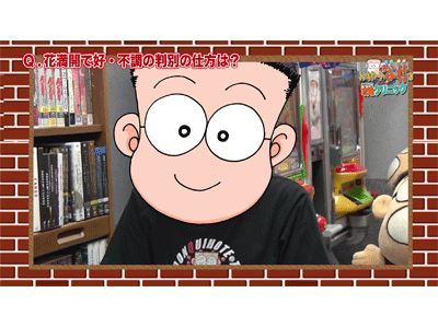 パチンコオリジナル必勝法セレクション #235 ドンキホーテ谷村のパチンコ攻略クリニックinDVD #47 ドンキホーテの気になる噂の真相は…!?