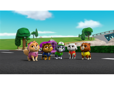 パウ・パトロール 第132話 ミャウッとかつやく！ニャン・パトロール