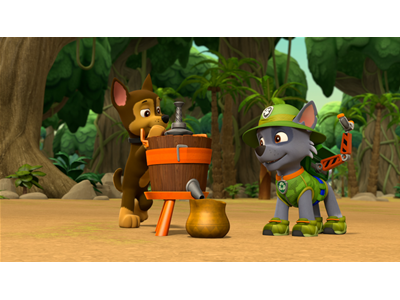 パウ・パトロール 第161話 シャッターチャンスをおえ！