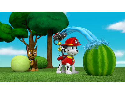 パウ・パトロール 第184話 メロメロ！メロンコンテスト！