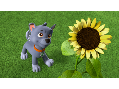 パウ・パトロール 第192話 ブンブン・トラブル！ハチミツをさがせ