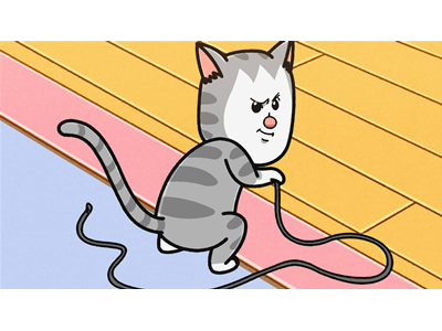 まめきちまめこニートの日常 第33話「私の服のヒモを常に狙っている猫」／第34話「絶対薬を飲まない猫」