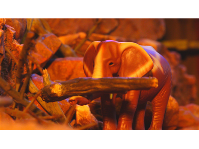 冒険大陸アニアキングダム #7 ゴーゴー！マウンテン！