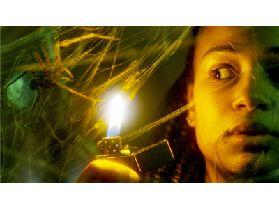 スパイダー/増殖