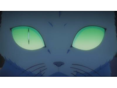 MAO 第13話 猫鬼