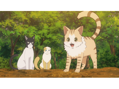 猫と竜 第6話 猫じゃらしの夜